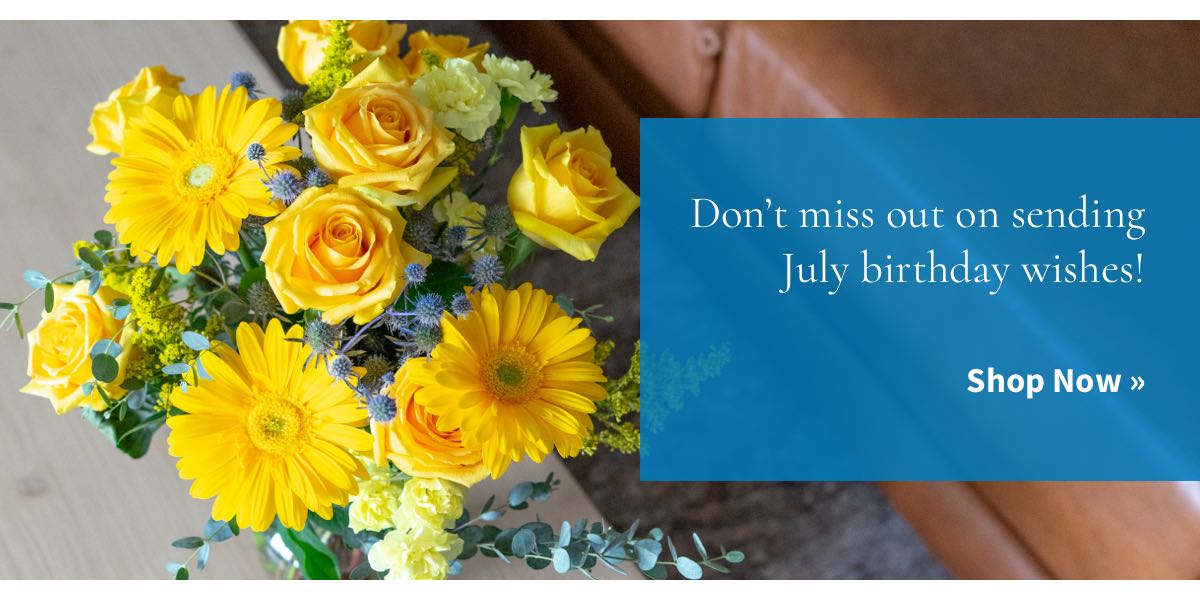 Don't miss out on sending July birthday wishes!  Shop Now »