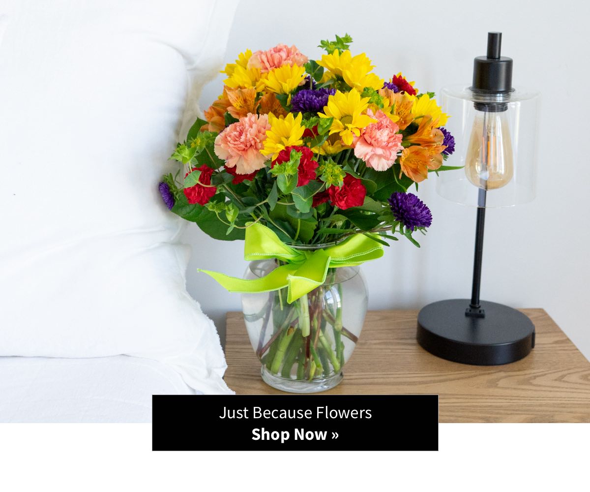 Just Because Flowers - Shop Now »