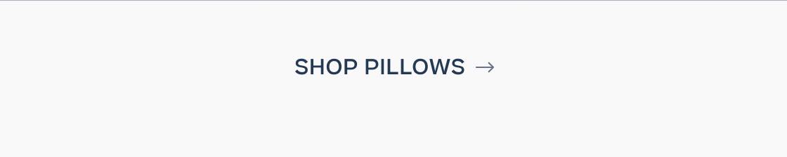 Shop Pillows