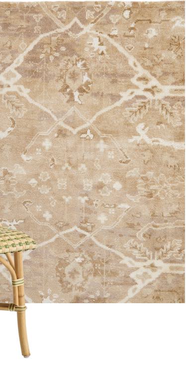Ansonia Hand-Knotted Rug