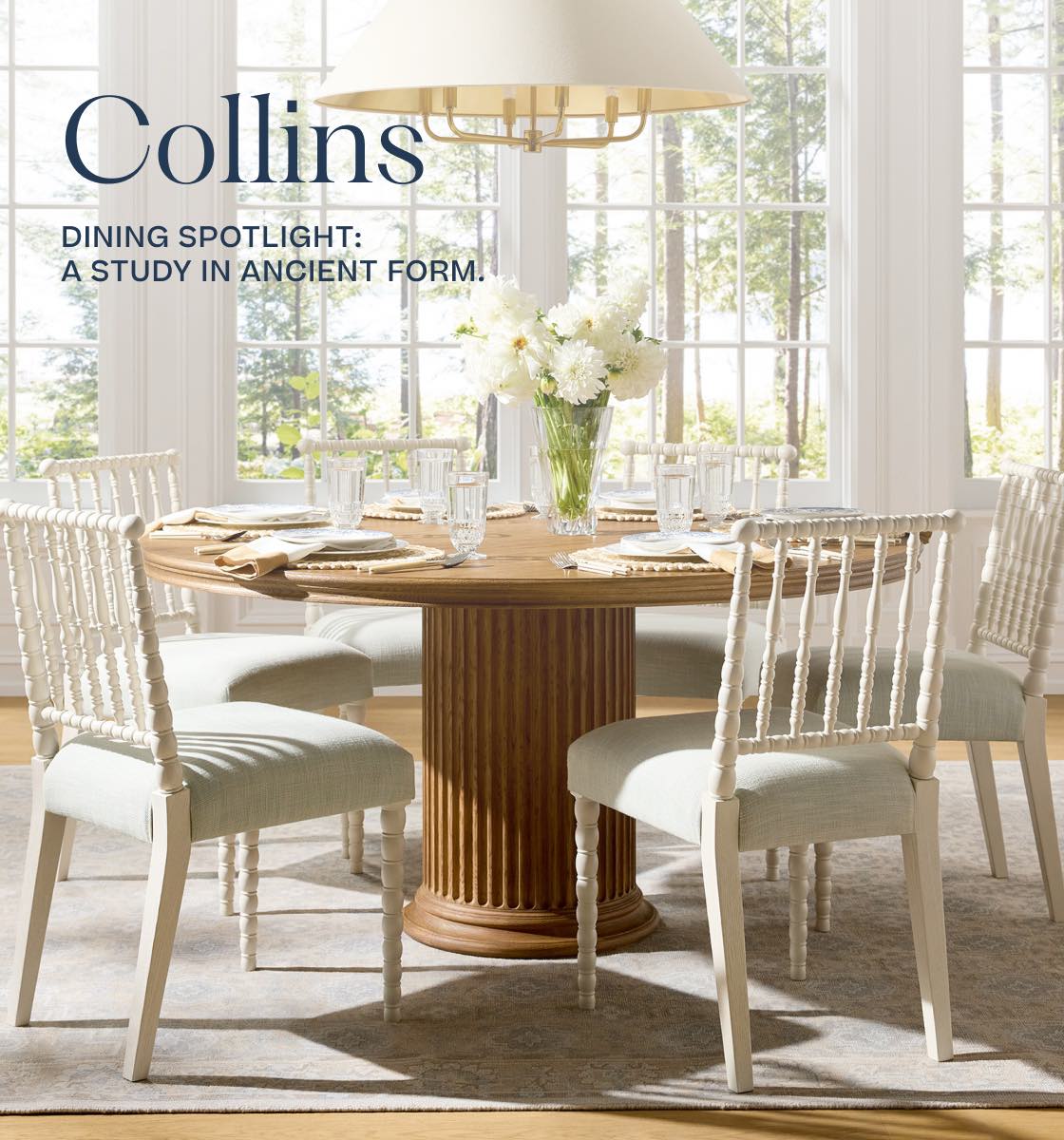 Shop Collins