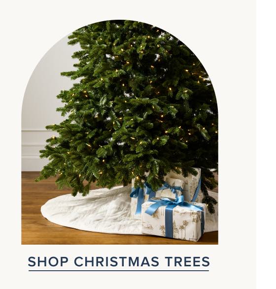 Shop Christmas Trees