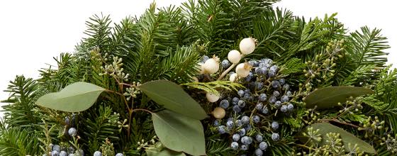 Fresh White Berry Wreath