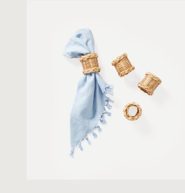 Shop Napkins