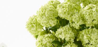 Faux Snowball Bouquet