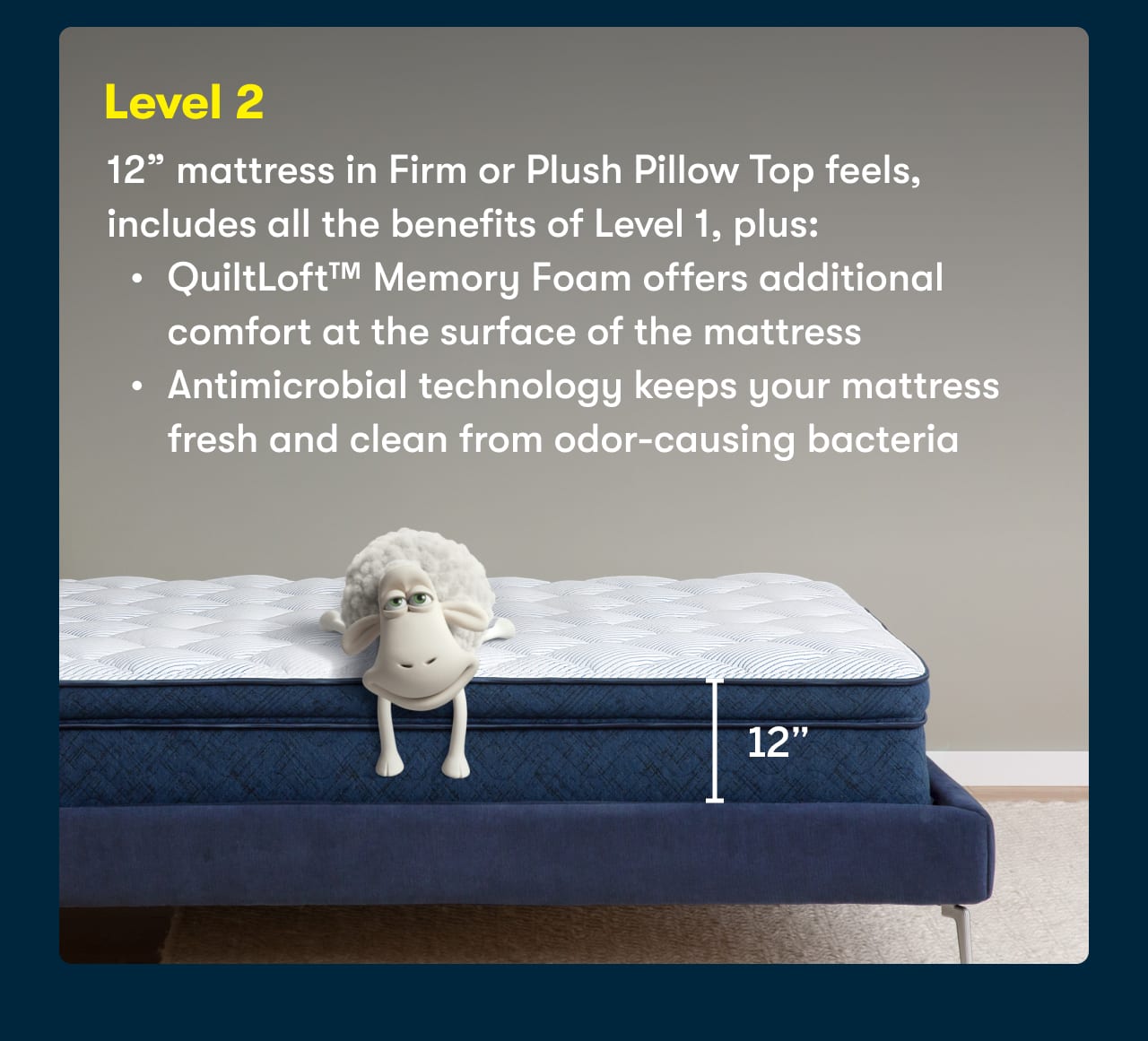 Level 2: 12inches mattress in Firm or Plush Pillow Top feels, includes all the benefits of Level 1
