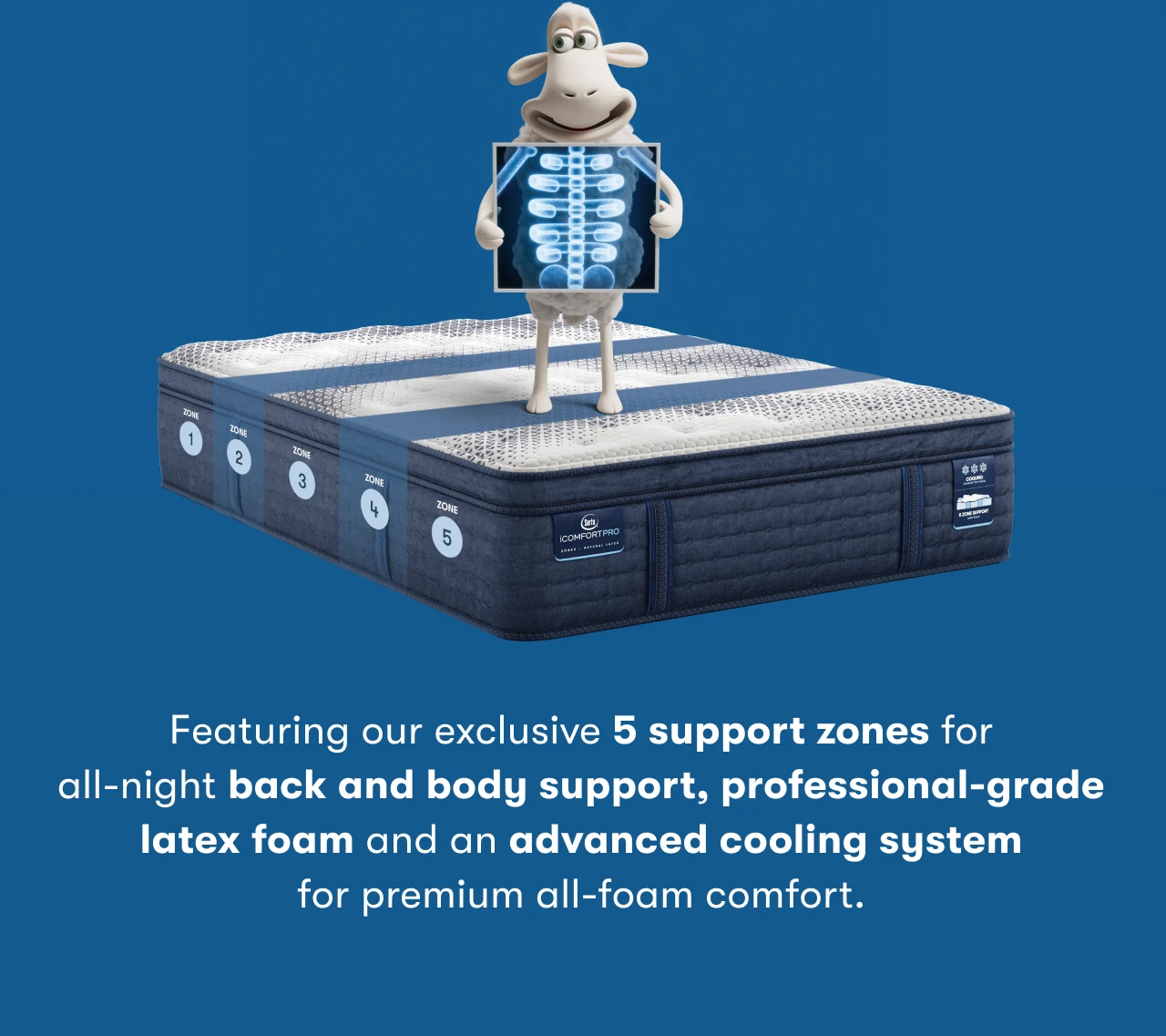 Featuring our exclusive 5 support zones for all-night back and body support, professional-grade latex foam and an advanced cooling system for premium all-foam comfort.
