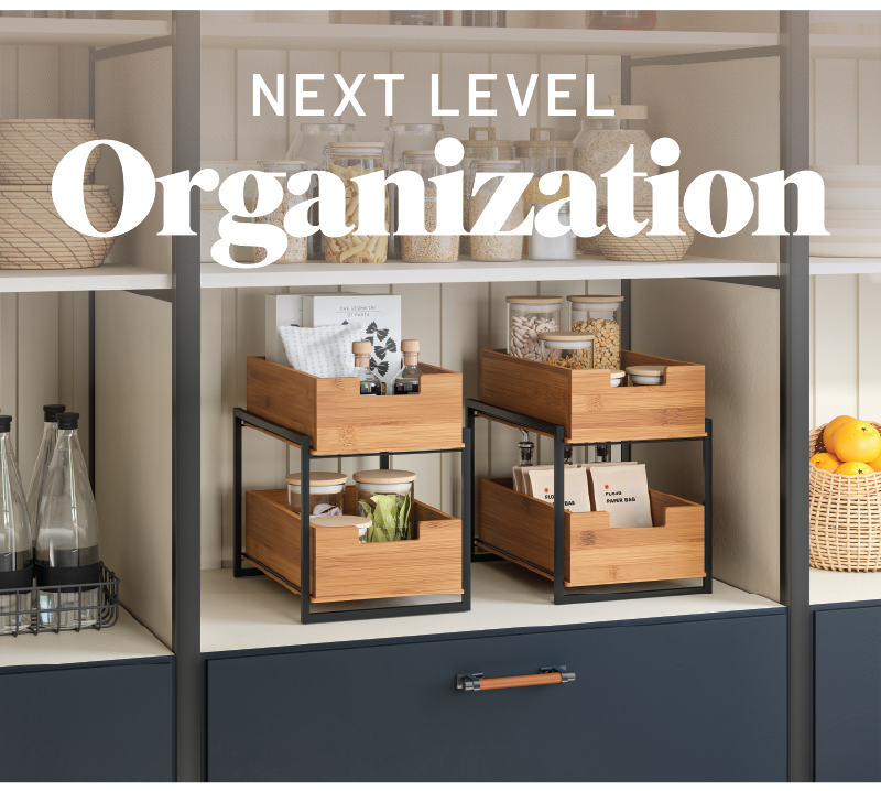 Next Level Organization