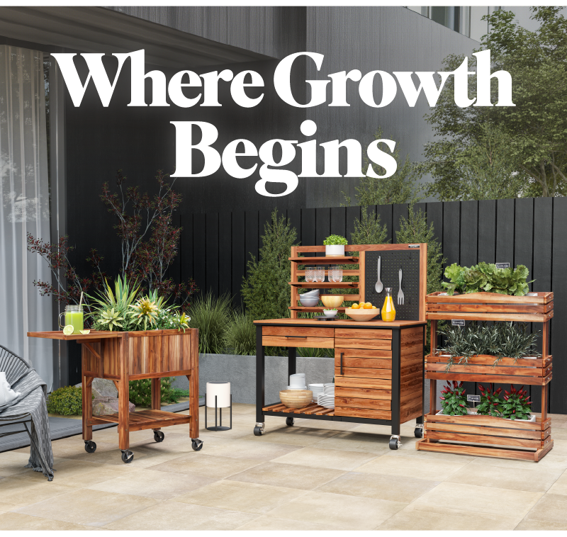 Where Growth Begins