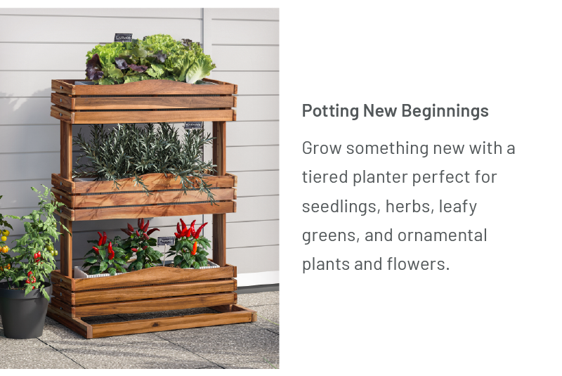 Potting New Beginnings: Grow something new with a tiered planter perfect for seedlings, herbs, leafy greens, and ornamental plants and flowers.