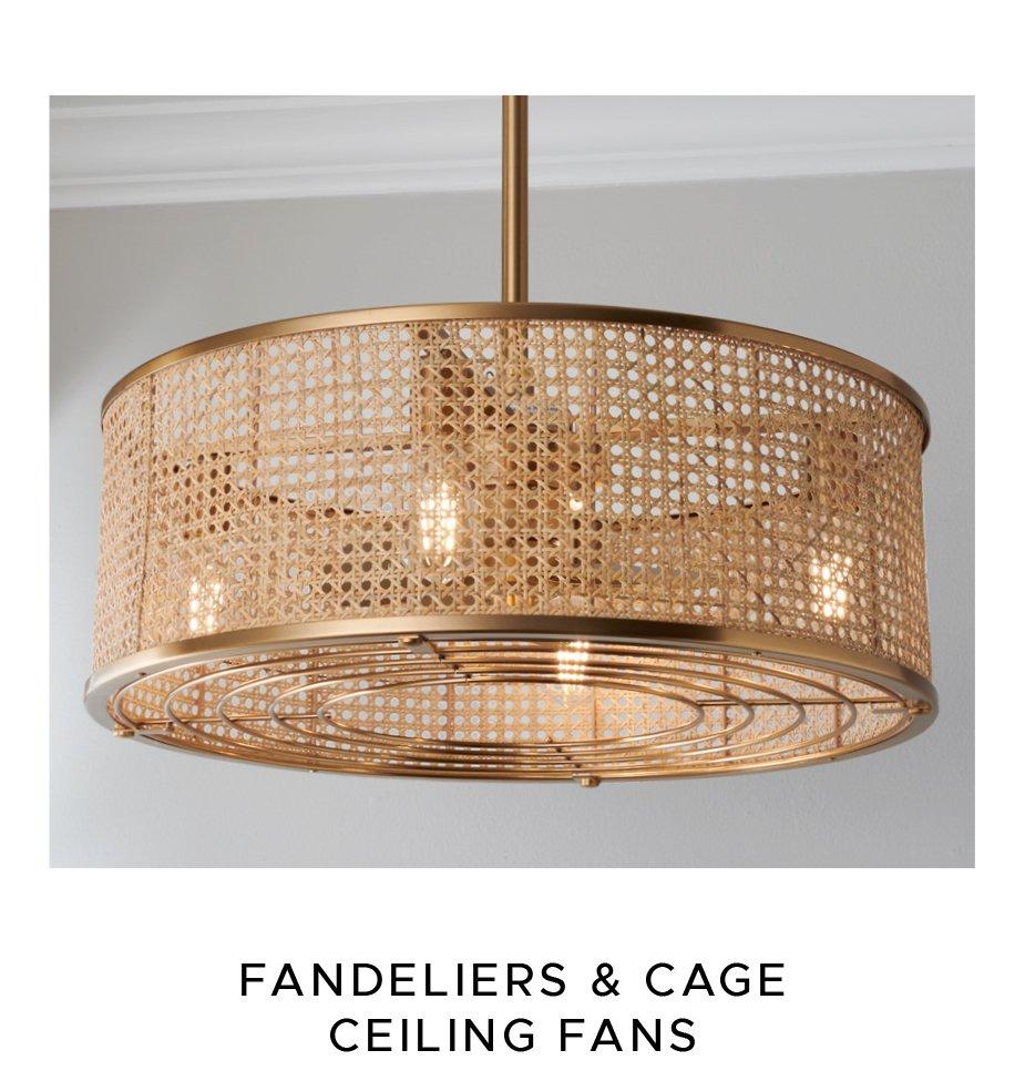 Fandeliers and Cage Ceiling Fans