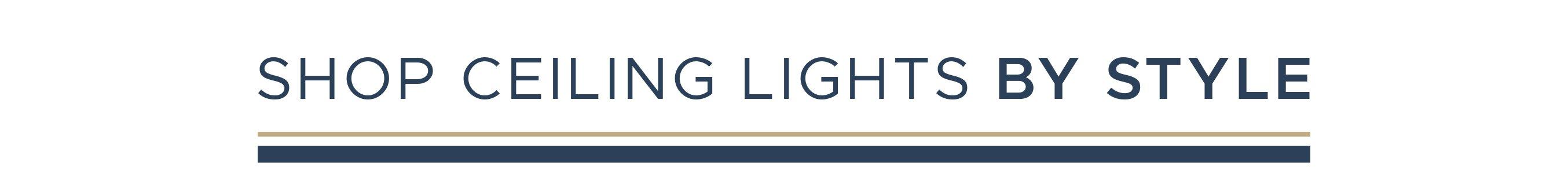 Shop Ceiling Lights by Style