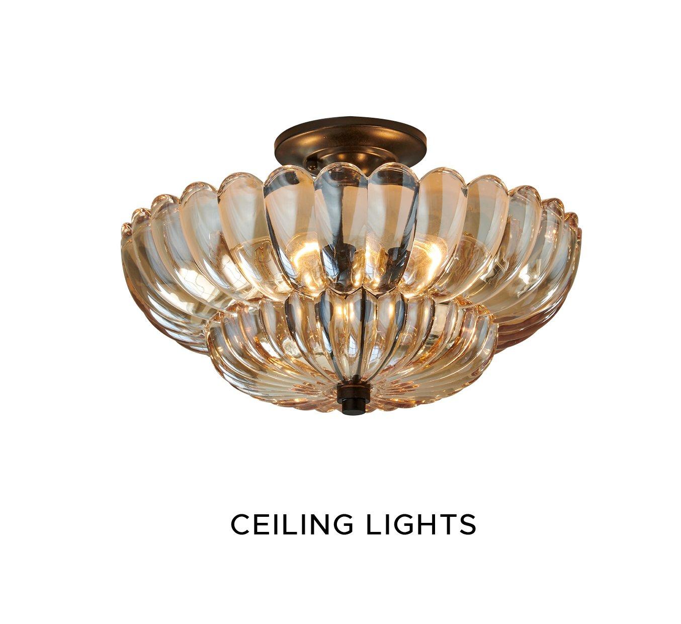 Ceiling Lights