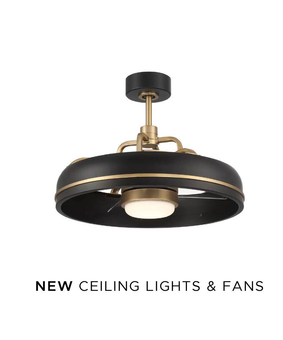 New Ceiling Lights and Fans