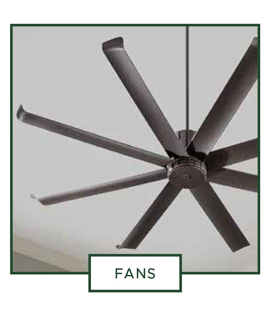 Fans