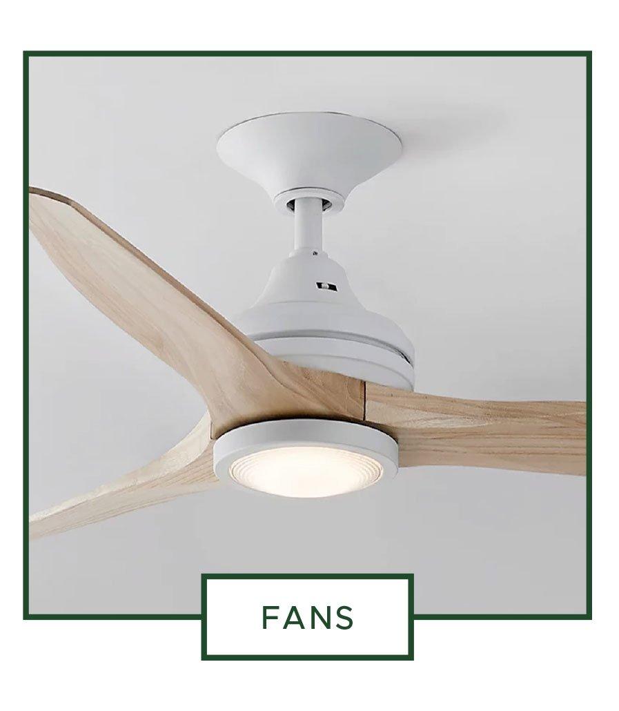 Fans