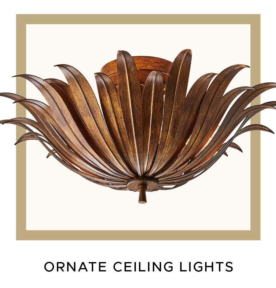 Ornate Ceiling Lights