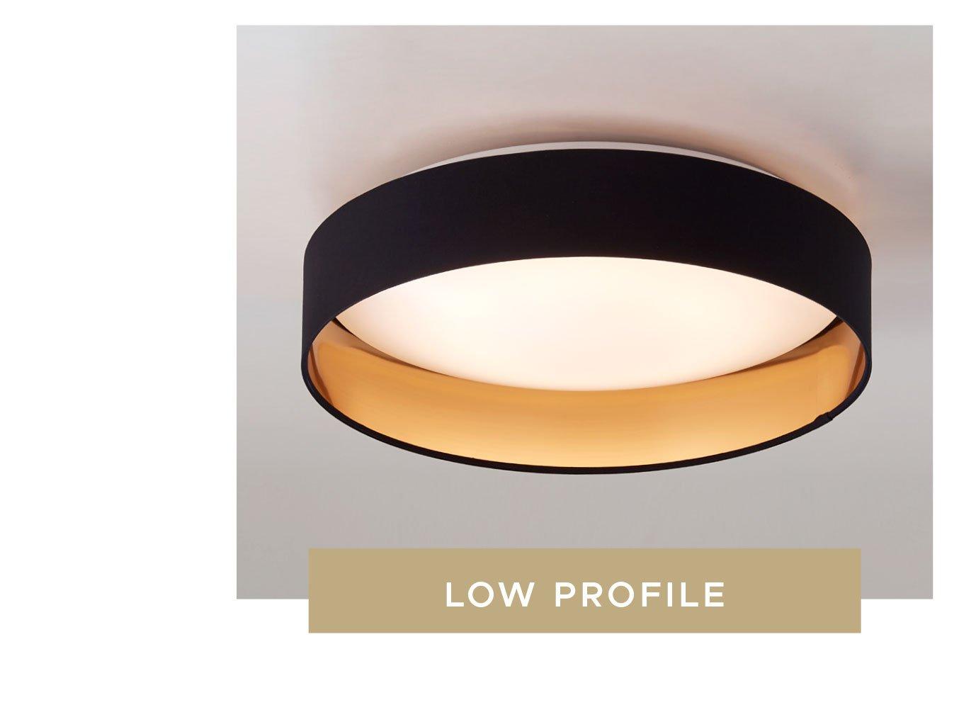 Low profile ceiling lights