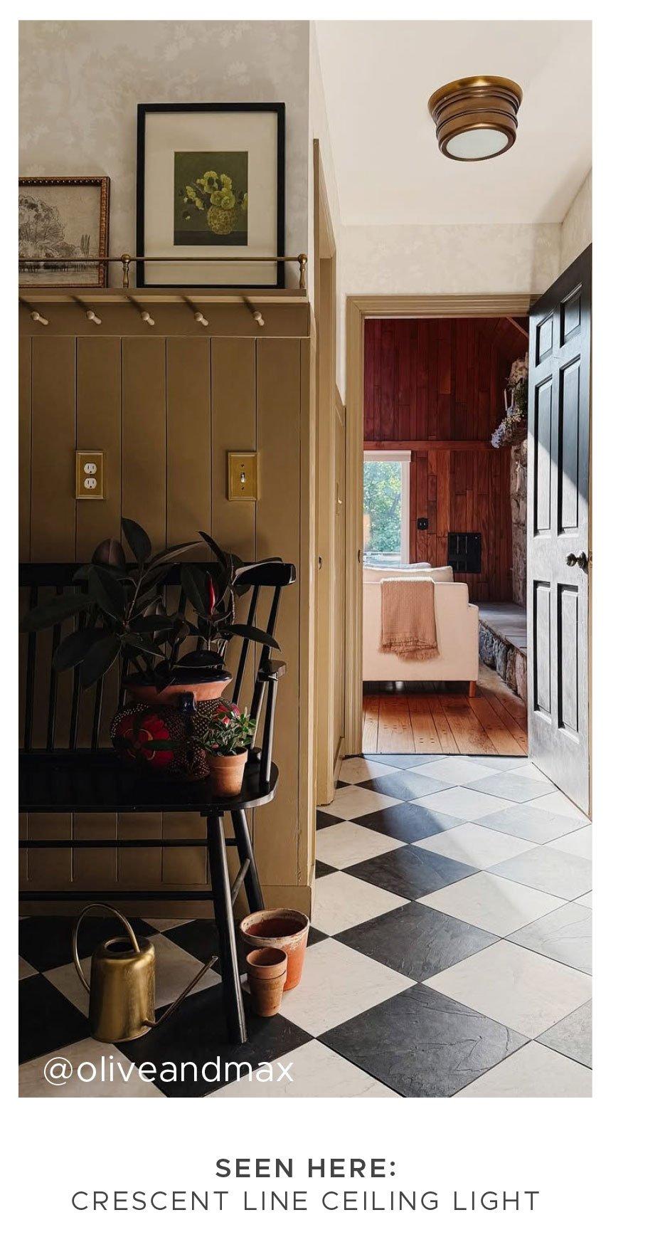 Erin & Ben Co. Crescent Line Ceiling Light