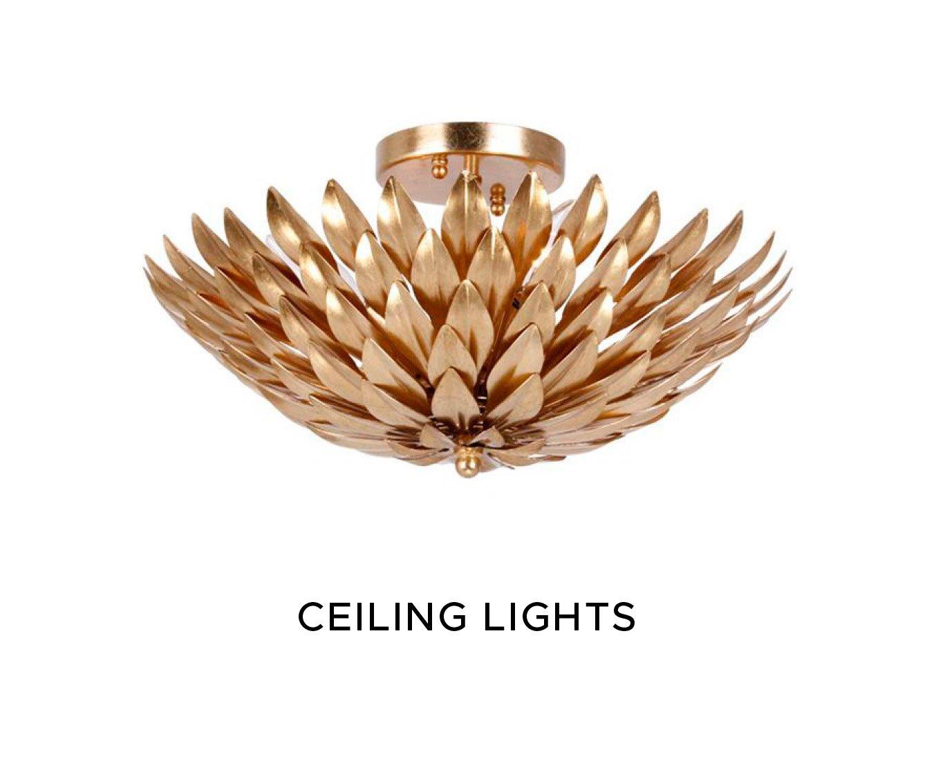 Ceiling Lights