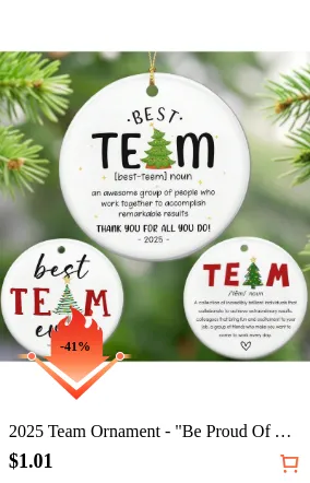 2025 Team Ornament - Be Proud Of...