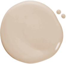 Paint dollop of Sand Dollar.