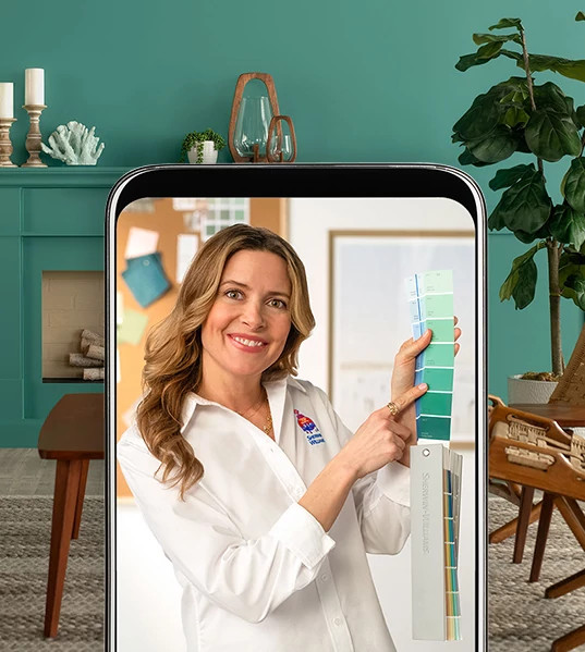 Sherwin-Williams Colorsnap Color Consultation
