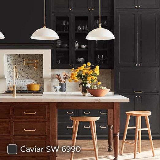 Trendy kitchen painted in Caviar SW 6990.