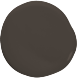 Paint dollop of Sealskin.
