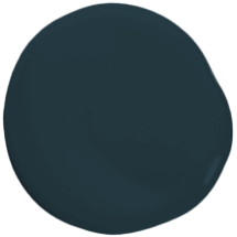 Paint dollop of Dark Night.