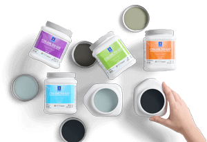 Collection of Color To Go paint sample cans.
