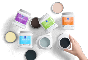 Collection of Color To Go paint sample cans.