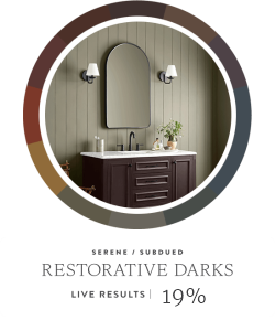 Bathroom painted in Restorative Darks color palette.
