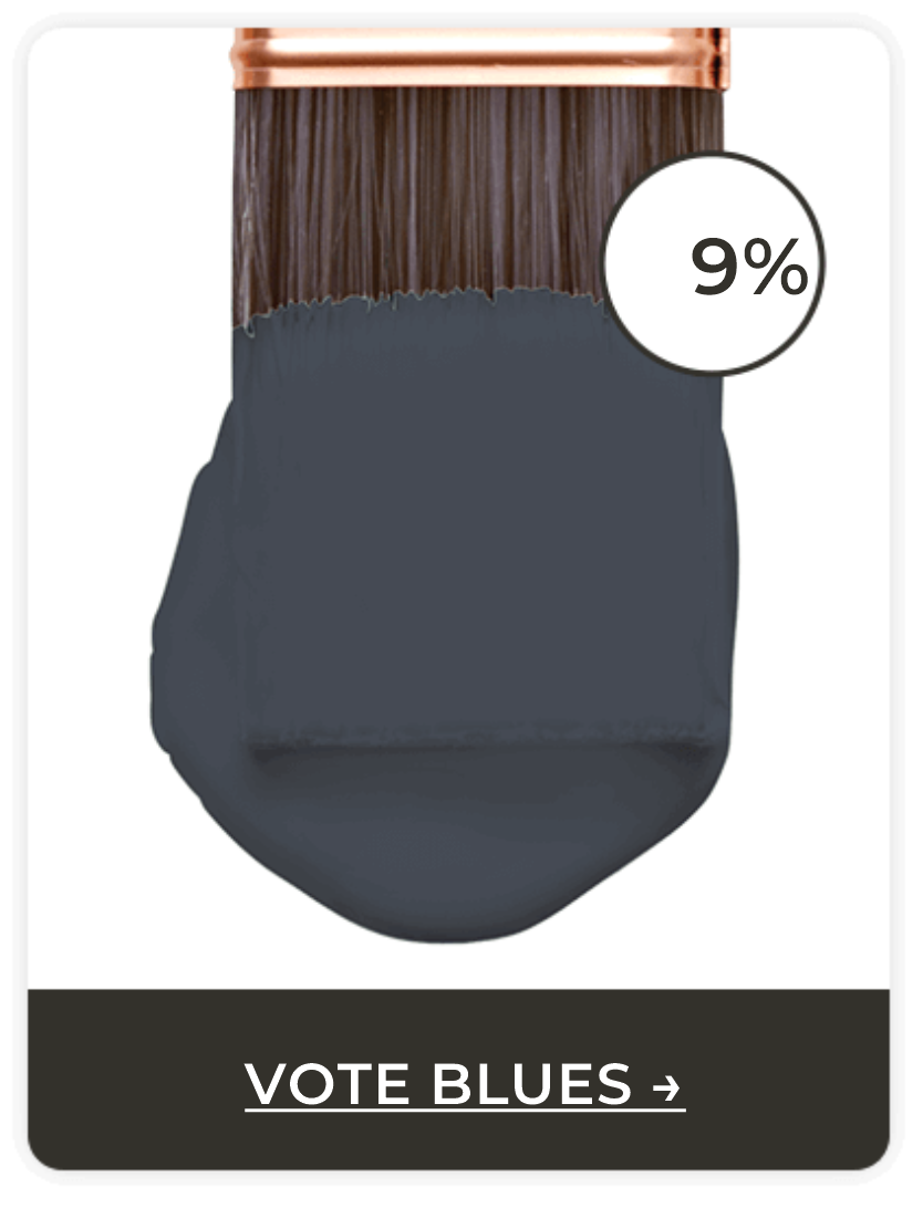 Paintbrush coated in blue-toned paint. Vote Blues.