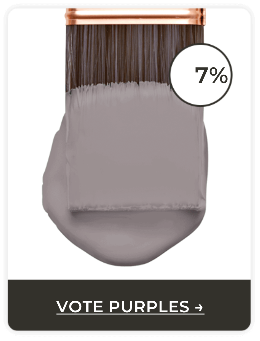 Paintbrush coated in purple-toned paint. Vote Purples.