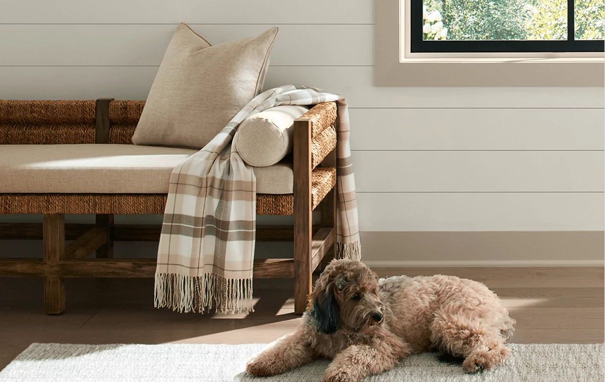 Dog laying on floor of interior of porch, with rustic bench with beige cushions and throw rug, painted in Mushroom.