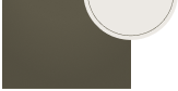 Garden Gate SW6167 color chip. Color of the Month.