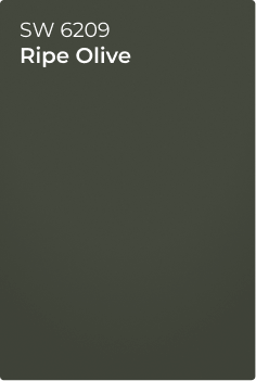 Paint chip of Ripe Olive SW6209.