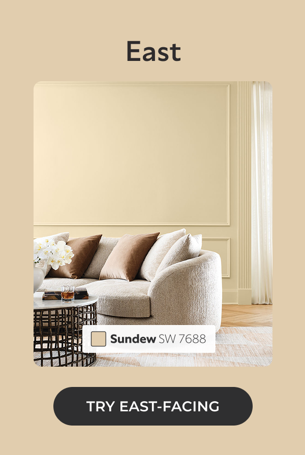 East. Living room, close-up of beige rounded sofa and coffee table, painted in Sundew. Click to Try East-Facing.