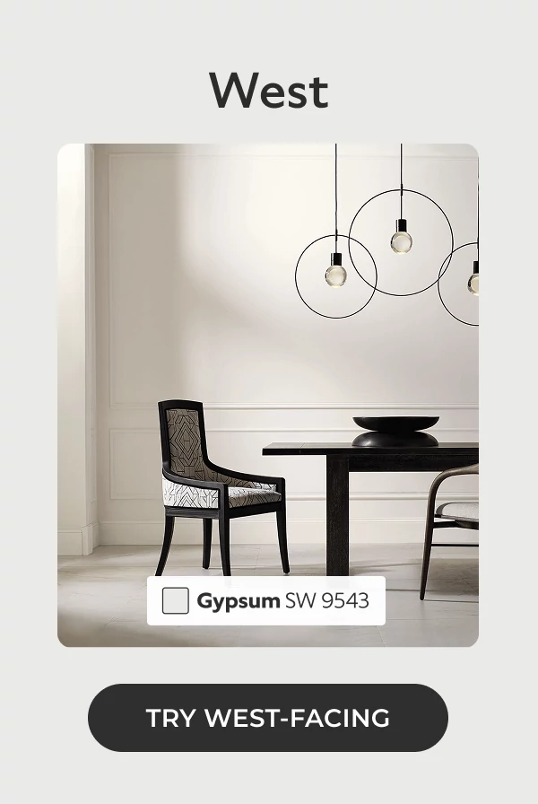 West. Dining room, Close-up of modern dark wood dining table and matching chair with gray fabric accent and cushion, painted in Gypsum. Click to Try West-Facing.
