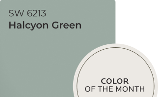 Halcyon Green SW 6213 color chip. Color of the Month.