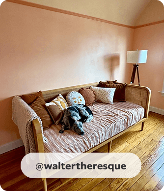 Wood sofa, with decortative pillows, in rustic room painted in Neighborly Peach with medium wood floors. @waltertheresque.