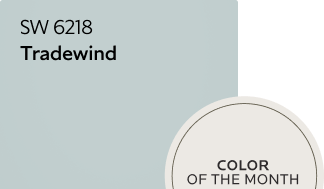 Tradewind SW 6218 colour chip. Color of the Month.