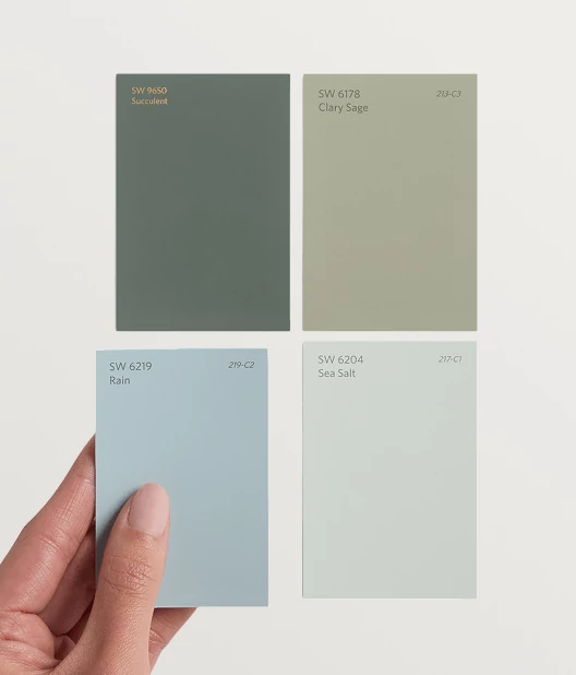 Hand holding color chips.