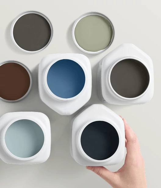 Variety of Color To Go® paint samples.