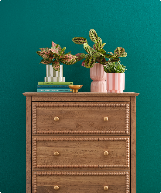 Medium wood dresser, with pink planters and books on top, along blue-green wall.