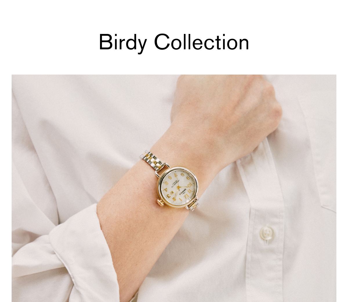 Birdy Collection