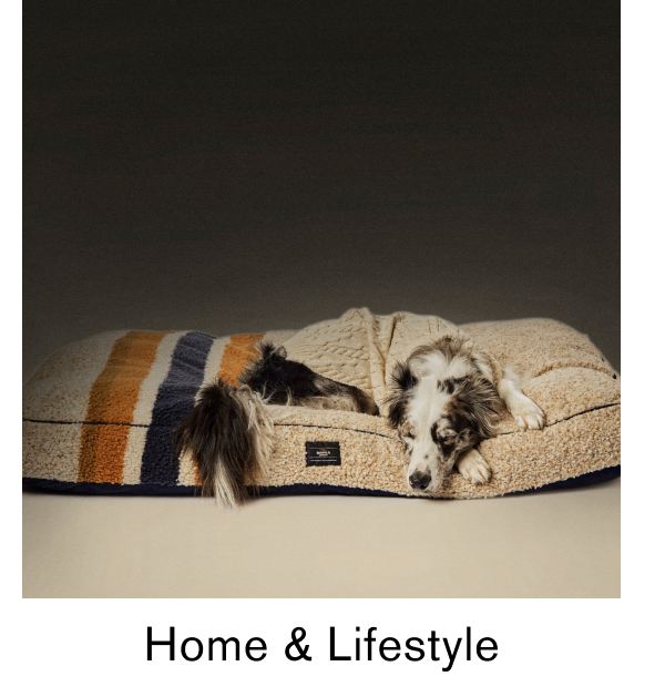 Home & Lifestyle