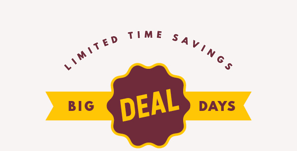 LIMITED TIME SAVINGS BIG DEAL DAYS