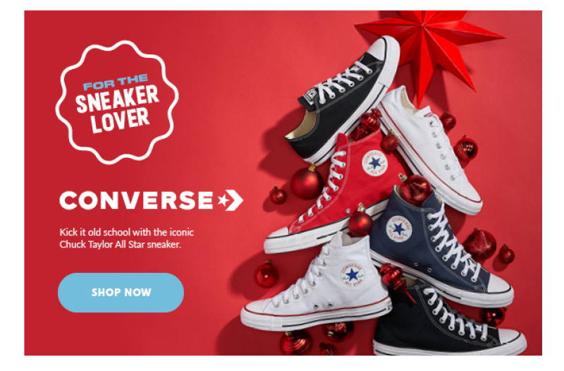 For the Sneaker Lover Shoe Sensation